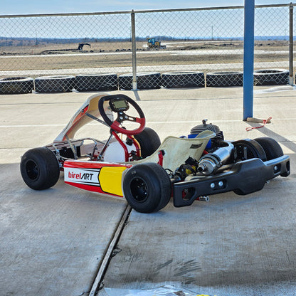 2020 Birel ART C28-S11 Kart